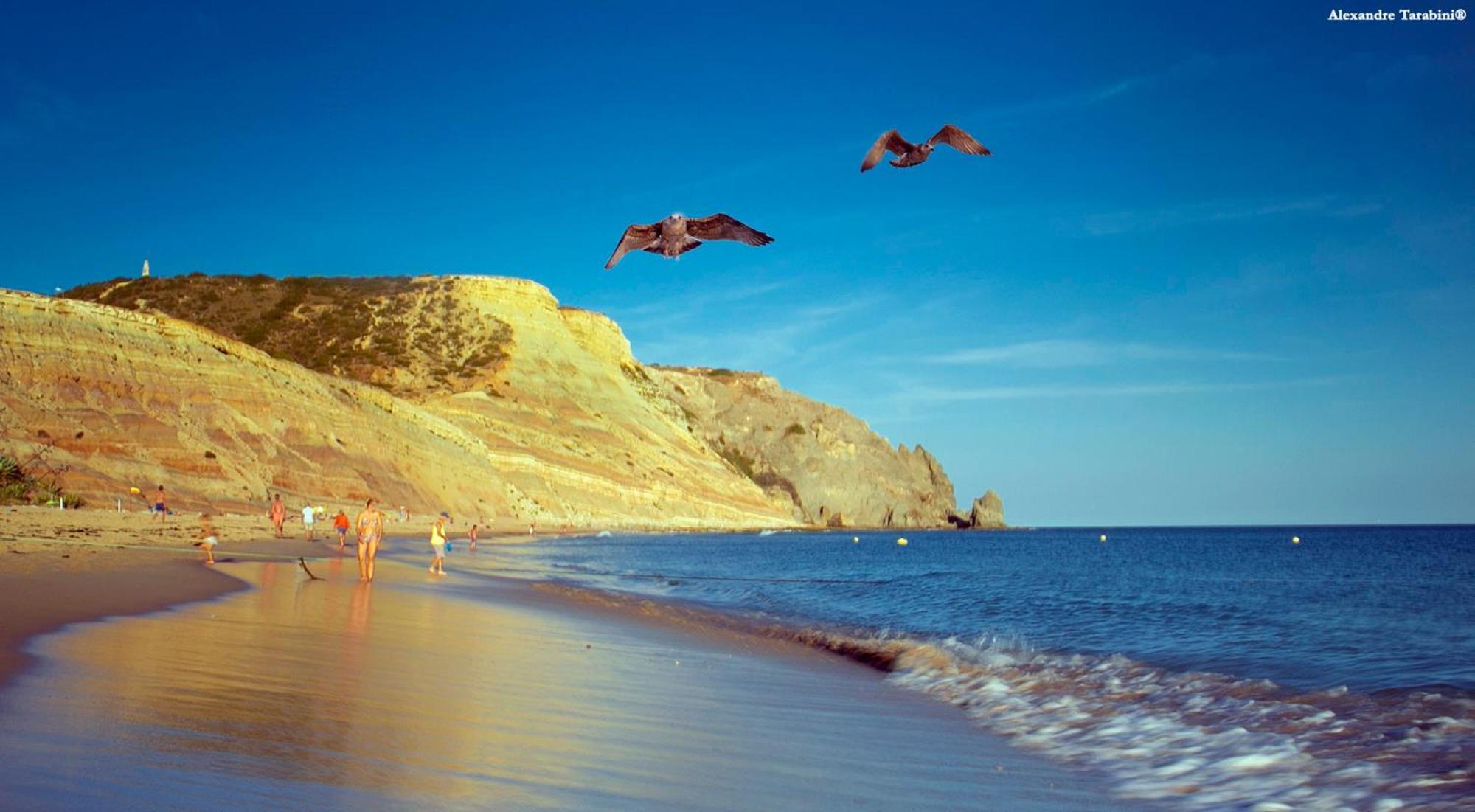 Casas Da Calheta In Praia Da Luz Bagian luar foto